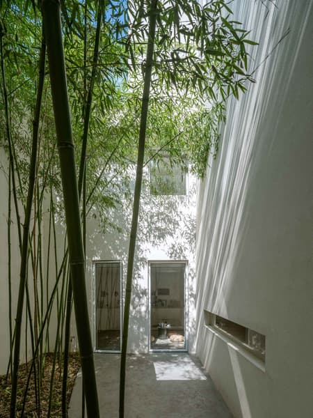 Forest Villa